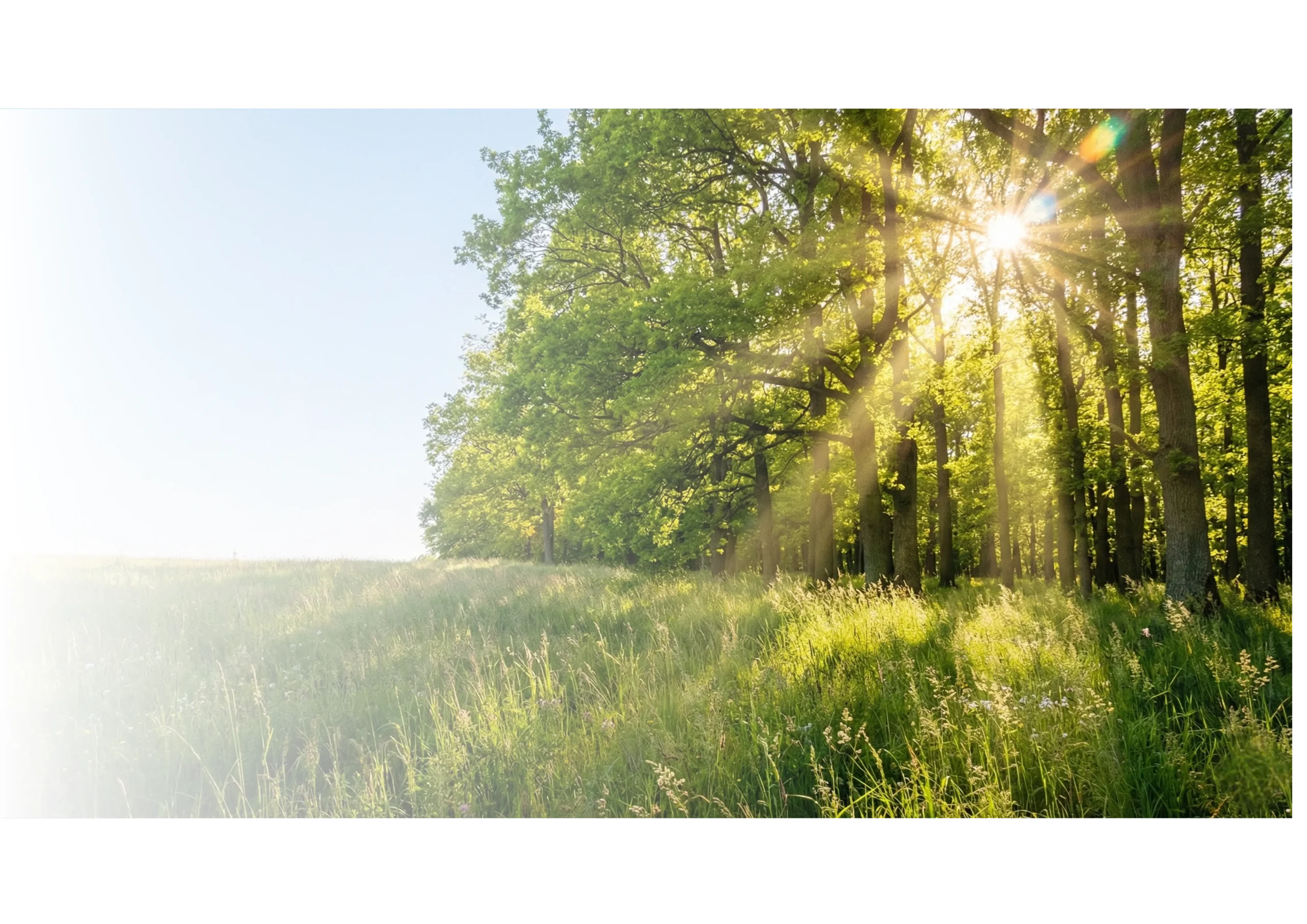 DPF Regeneration Technology